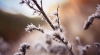 Don&#039;t Let Bad Weather